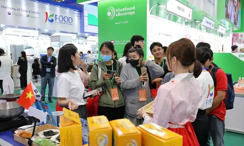 Vietfood & Beverage - Propack Vietnam 2025: Sản phẩm Hàn Quốc tiếp tục tạo dấu ấn đặc biệt