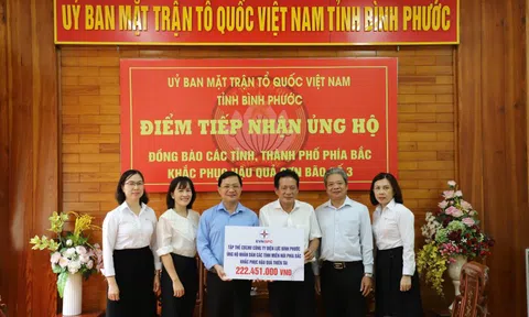 EVNSPC: Gần 14 tỷ đồng hỗ trợ các tỉnh miền Bắc bị thiệt hại do bão số 3