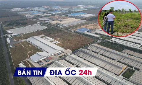 Địa ốc 24H: Diễn biến đất vùng ven sau đấu giá gây 'choáng'; sắp có khu công nghiệp nghìn ha