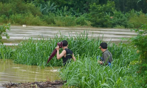 Người dân đổ xô ra ven bờ sông bắt dế mùa lũ