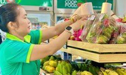 Đại siêu thị Co.opXtra Tạ Quang Bửu sắp khai trương với nhiều quà tặng hấp dẫn