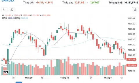 VN-Index 'rơi' 14 điểm