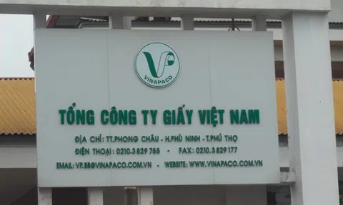 Quyết định thanh tra tại Tổng công ty Giấy Việt Nam