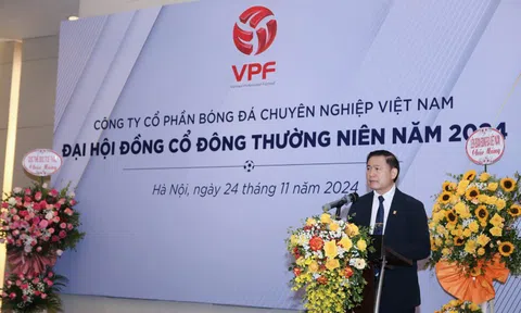 VPF báo cáo doanh thu dự kiến tăng 113% trong năm 2024