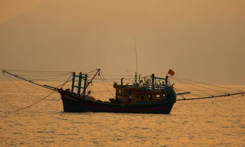 Cẩn trọng mua trúng tour câu mực, săn cá 'chui'