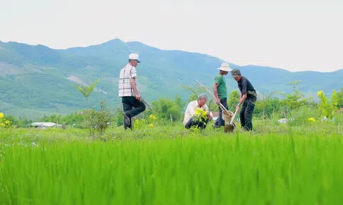 Bình Định: Lan tỏa mô hình bảo vệ môi trường từ cộng đồng