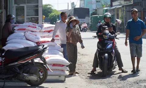 Lý do người dân đổ xô đi mua gạo