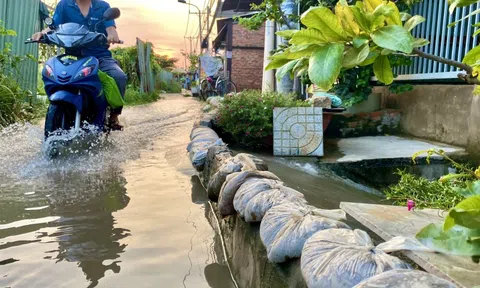 Triều cường khả năng gây ngập nhiều khu vực ở TPHCM trong ngày mùng 2 Tết