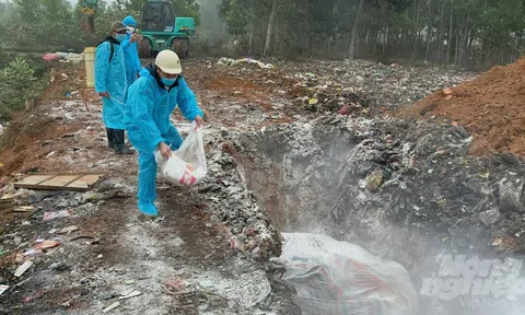 Phát hiện ổ dịch lở mồm long móng ở Thanh Hóa, lập 2 chốt kiểm soát