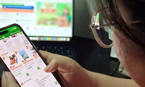 Dịch vụ đi chợ online 'nay đặt, mai nhận', giúp việc qua app 'kiểu mới'