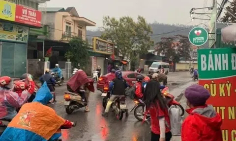 Trâu 'điên' náo loạn đường phố, nhiều học sinh bị thương