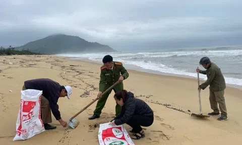 Thu gom 40 tấn dầu vón cục tràn bờ tại vịnh Lăng Cô và vùng lân cận