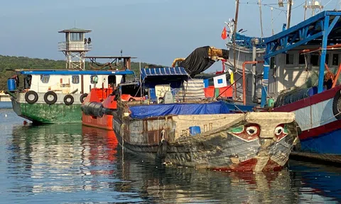 Bắt tàu không số chở hơn 10 tấn đường lậu trên biển