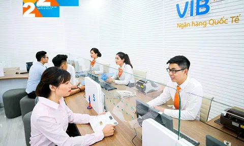 Ai vừa chi hơn ngàn tỷ mua cổ phiếu VIB?