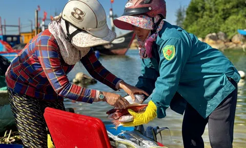 Quảng Ngãi: Bình minh ở làng chài Sơn Trà