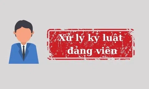 Ban Bí thư xem xét, thi hành kỷ luật đảng viên