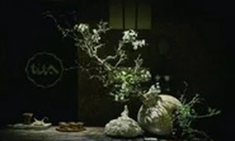 Lạc vào thế giới Ikebana ‘Nhất khí nhất hoa’