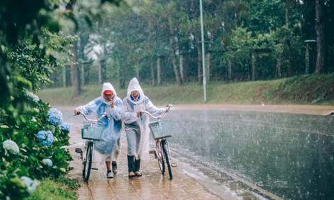 Lưu ý khi du lịch Măng Đen, Đà Lạt mùa mưa