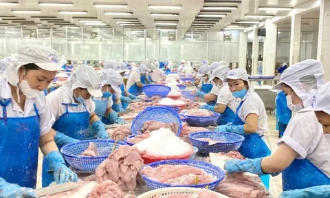 Nước nào tiêu thụ cá tra Việt Nam lớn nhất thế giới?