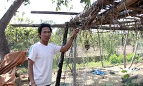 Giáo viên thắng kiện khốn khổ chờ bồi thường suốt 3 năm