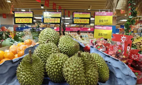 Sầu riêng loạn giá, xuất khẩu giảm sâu