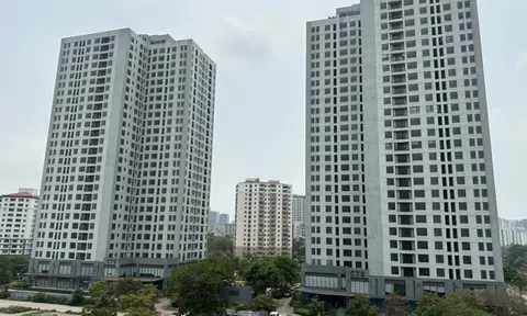 Lý do tái định cư Hà Nội bị bỏ hoang nhiều năm