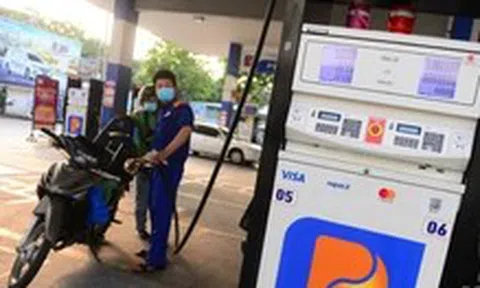 Lợi nhuận Petrolimex lao dốc, đang có gần 28.000 tỉ gửi ngân hàng, 'rót' vào trái phiếu