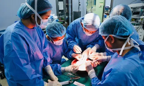 Từ mất mát đến hồi sinh: Hành trình 50 giờ kì diệu của những thầy thuốc quân y