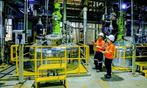 Giá Vonfram tăng vọt: cơ hội vàng cho mỏ Núi Pháo