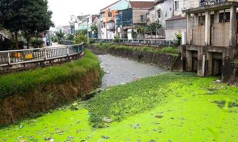 Con kênh bao quanh thành cổ Vinh đen đặc, bốc mùi: Đơn vị quản lý nói gì?