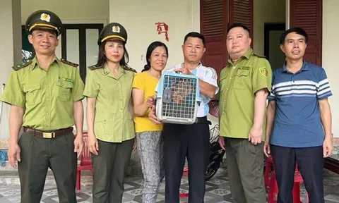 Phát hiện động vật quý hiếm trong vườn nhà dân