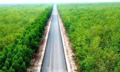 Dự án đường Hồ Chí Minh qua 4 tỉnh phía Nam vừa 'lỡ hẹn' về đích