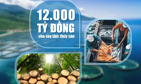 VietinBank nâng quy mô gói tín dụng, đẩy mạnh đầu tư lĩnh vực lâm, thủy sản