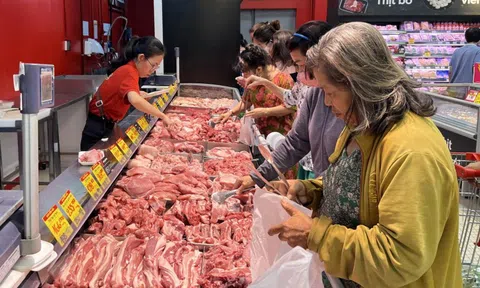 Thí điểm sàn giao dịch thịt heo