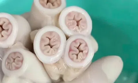 Kiểm tra, lấy mẫu tại cơ sở của chuỗi quán ăn có lòng xe điếu dài 40m ở TPHCM