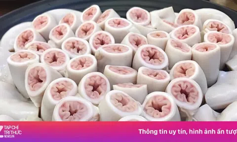 Hàng nghìn con heo mới có 1 con có lòng xe điếu, nhưng chỉ dài khoảng 1 m