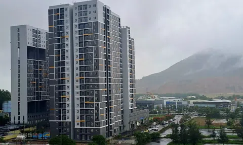 Bình Định quy định điều kiện mua nhà ở xã hội đối với người ngoại tỉnh