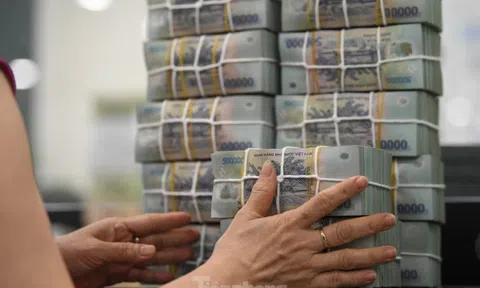 Ngân hàng Nhà nước nêu loạt khó khăn khi xử lý sở hữu chéo
