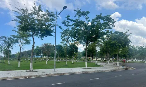 Chi tiết 29 dự án cây xanh Bộ Công an yêu cầu Bạc Liêu cung cấp hồ sơ
