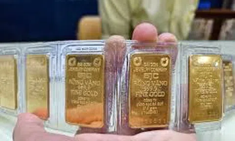 Giá vàng SJC giảm mạnh