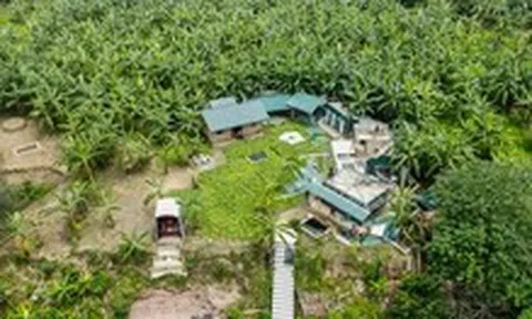 Đã cưỡng chế hàng loạt nhà tôn lắp ghép giữa sông Hồng ở Hà Nội