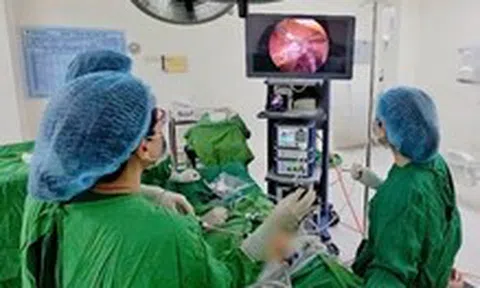 Cấp cứu kịp thời ca xoắn vòi trứng hiếm gặp