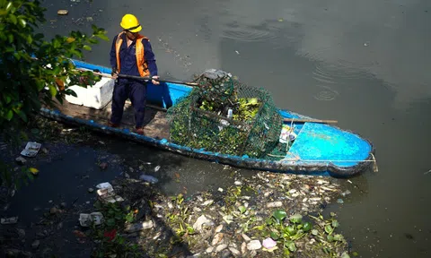 Dọn cá chết nổi trắng trên kênh Nhiêu Lộc