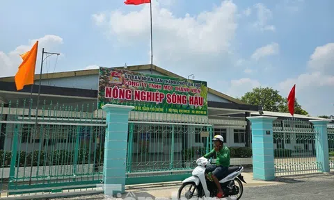 Thanh tra Chính phủ: Cần Thơ vi phạm quy định khi giao đất nông trường