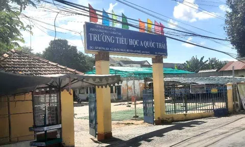 Hiệu trưởng bị tố quấy rối, sàm sỡ giáo viên