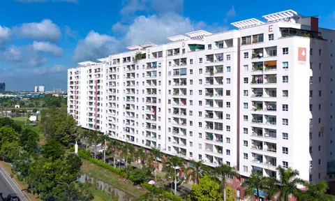 Ban quản trị chung cư bị phạt gần 120 tỷ đồng