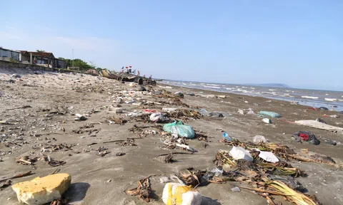 Bèo tây, rác thải bủa vây bờ biển Nghệ An