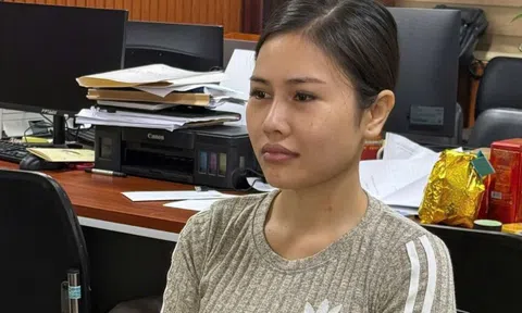'Nữ quái' lừa bán trẻ em sang Trung Quốc bị bắt giữ sau 10 năm lẩn trốn