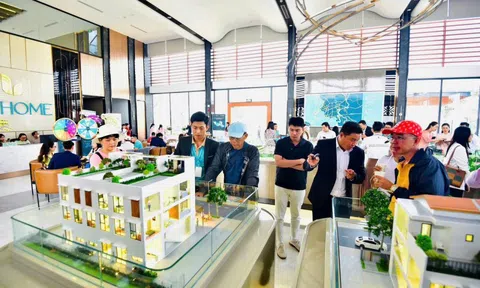 Sáp nhập TPHCM với Bình Dương và Bà Rịa - Vũng Tàu: Có nên xuống tiền mua đất?