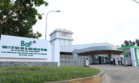 Ngỡ ngàng doanh thu của Vinamilk, BAF